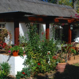 heron cottage | accomodation sandton